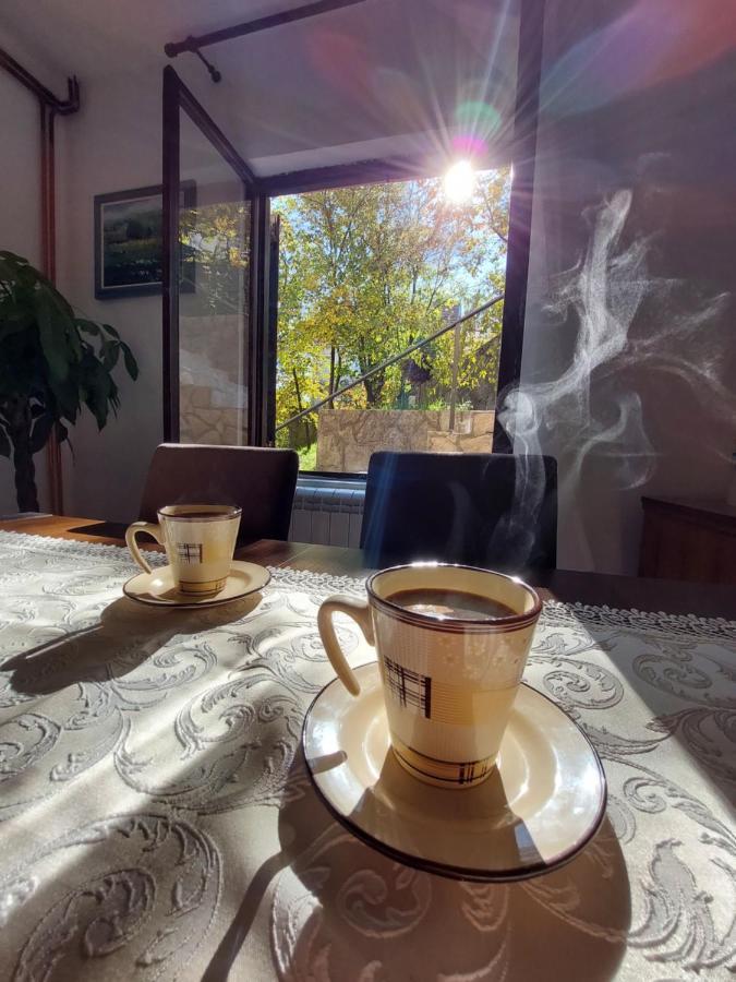 Holiday Home Milanovic 采蒂涅 外观 照片