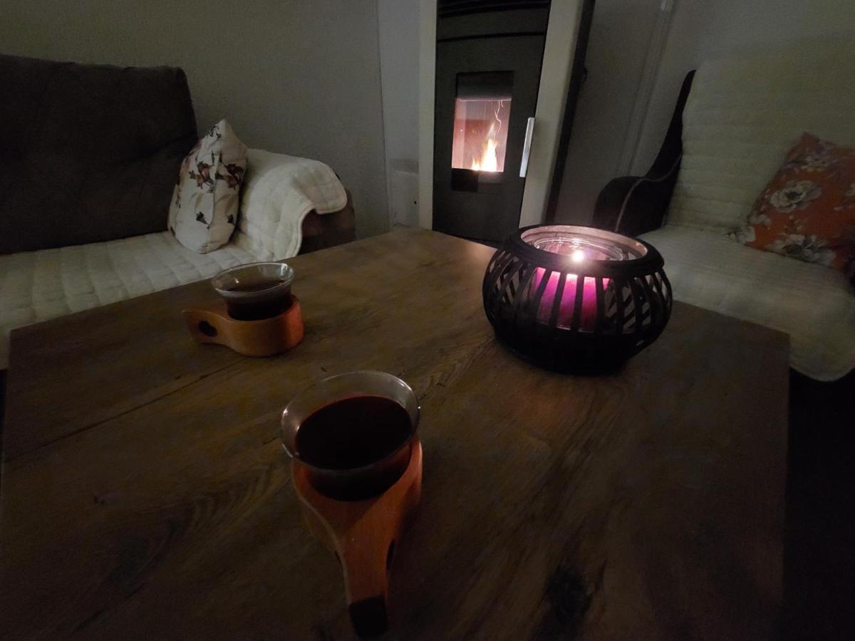 Holiday Home Milanovic 采蒂涅 外观 照片