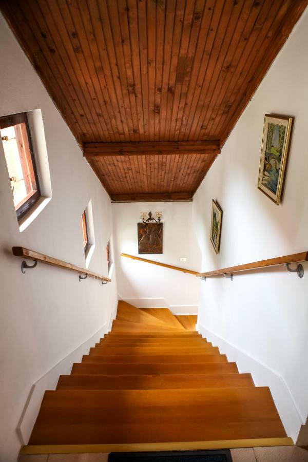 Holiday Home Milanovic 采蒂涅 外观 照片