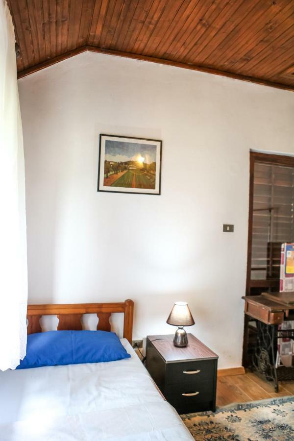 Holiday Home Milanovic 采蒂涅 外观 照片